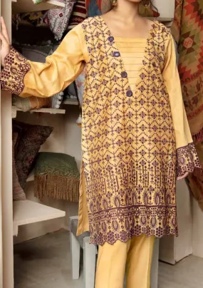 Adan’s Libas Cikankari Embroidered Stitched Lawn Kurti