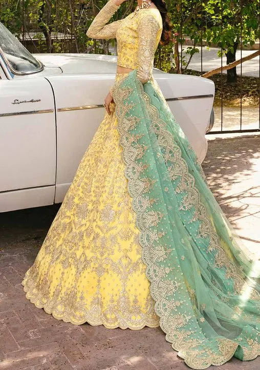 Akbar Aslam Ilona Pakistani Net Lehenga Choli