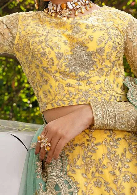 Akbar Aslam Ilona Pakistani Net Lehenga Choli