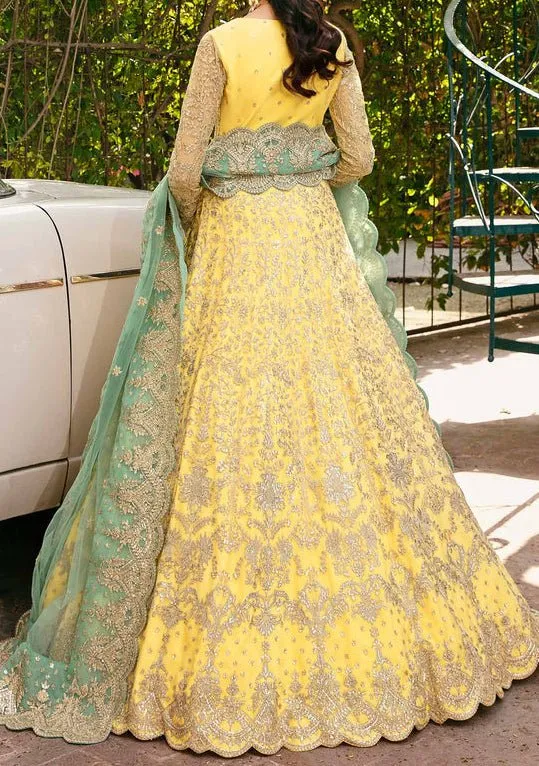 Akbar Aslam Ilona Pakistani Net Lehenga Choli