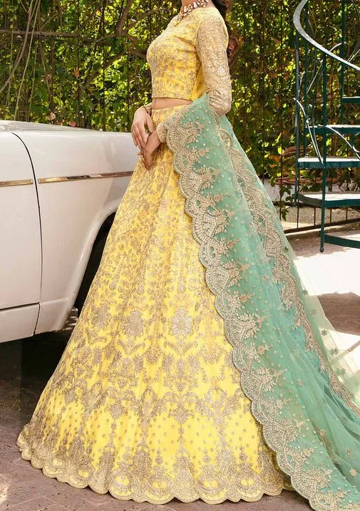 Akbar Aslam Ilona Pakistani Net Lehenga Choli