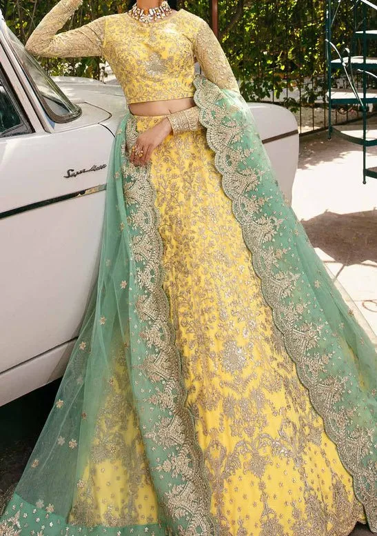 Akbar Aslam Ilona Pakistani Net Lehenga Choli