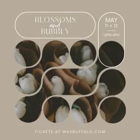 blossoms   bubbly