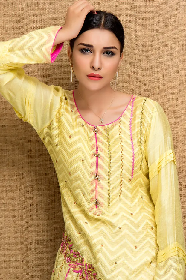 Ethnic Kurti | EC17 | K823