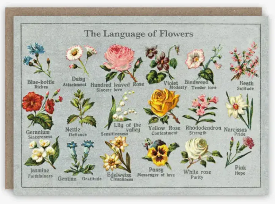 Language of Flowers Greeting Card Notecard