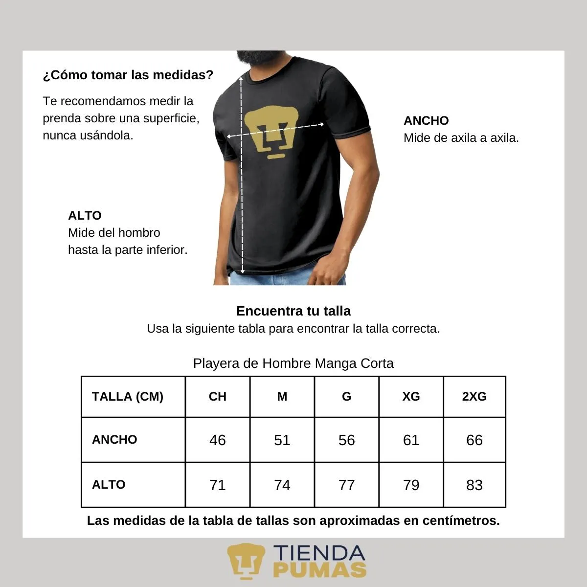 Playera Hombre Pumas UNAM Logo Dorado Vinil