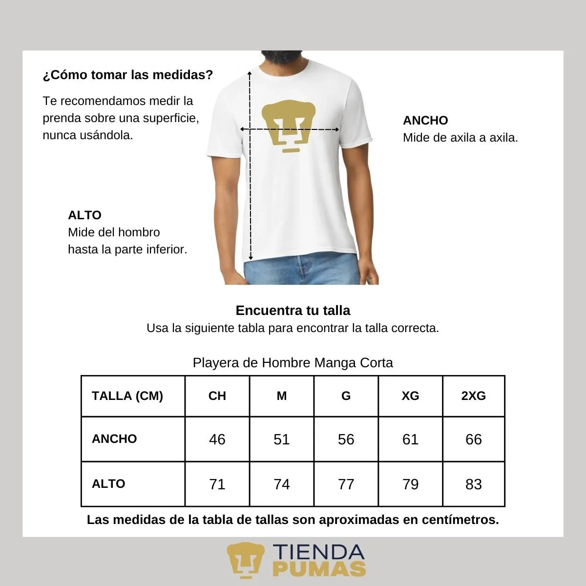 Playera Hombre Pumas UNAM Logo Dorado Vinil