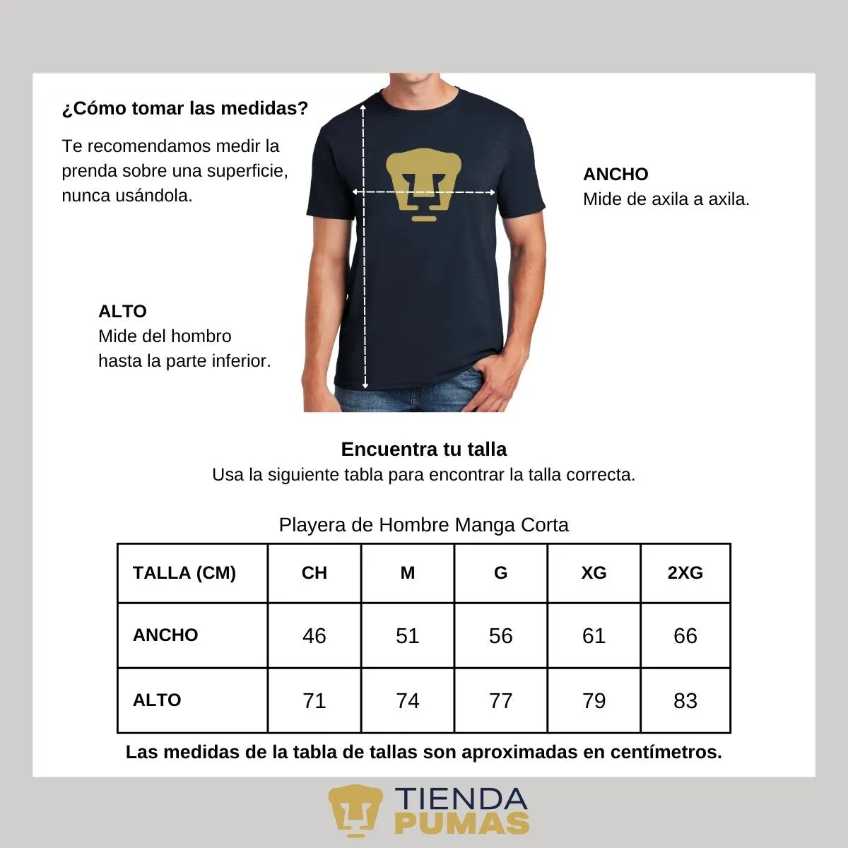 Playera Hombre Pumas UNAM Logo Dorado Vinil