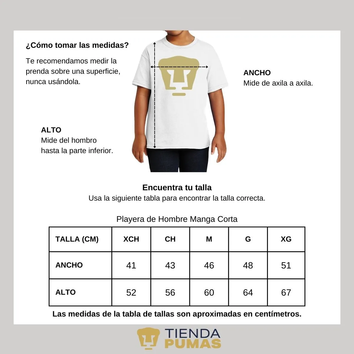 Playera Nios Pumas UNAM Logo Dorado