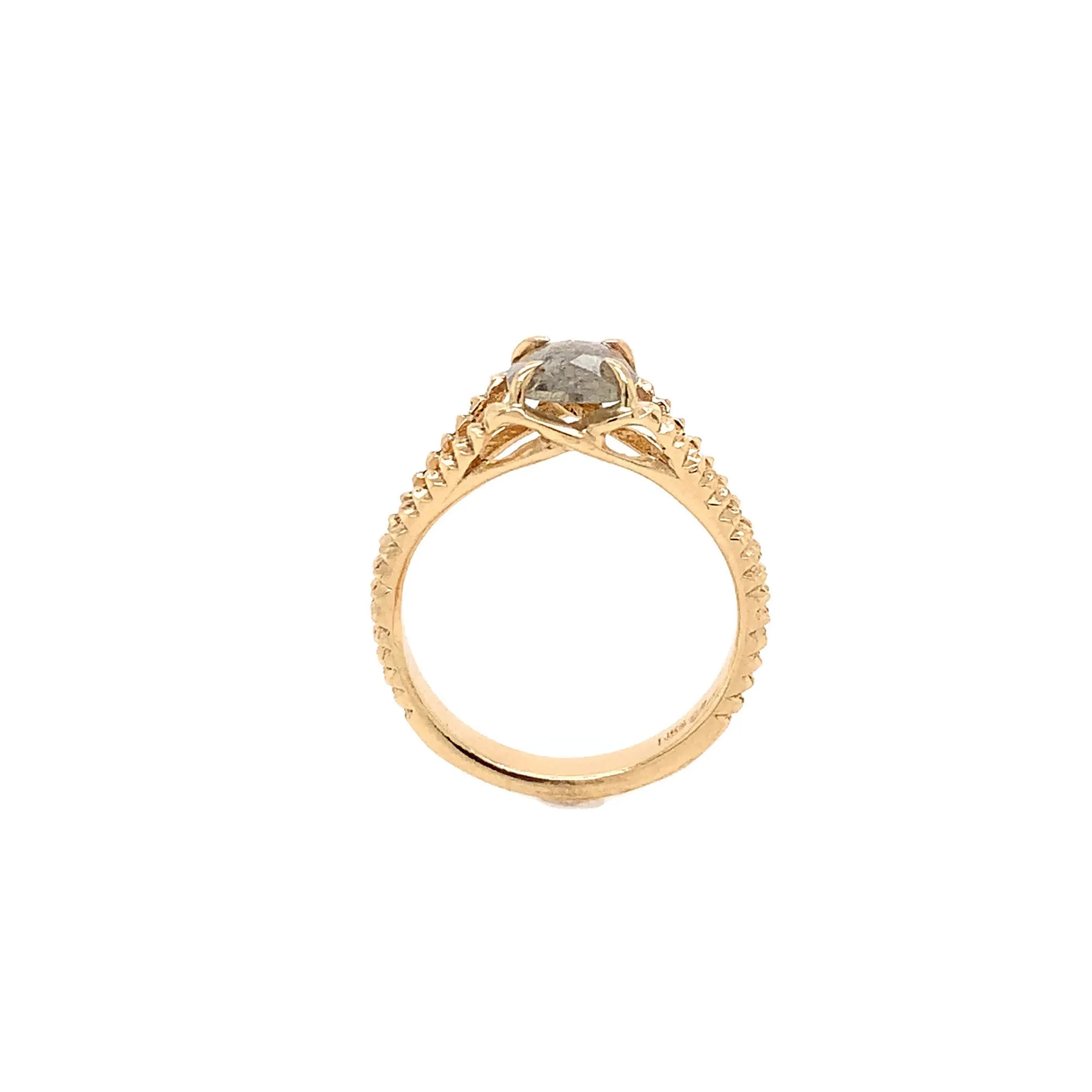 The Scaly Split - Salt & Pepper Diamond & 14k Yellow Gold