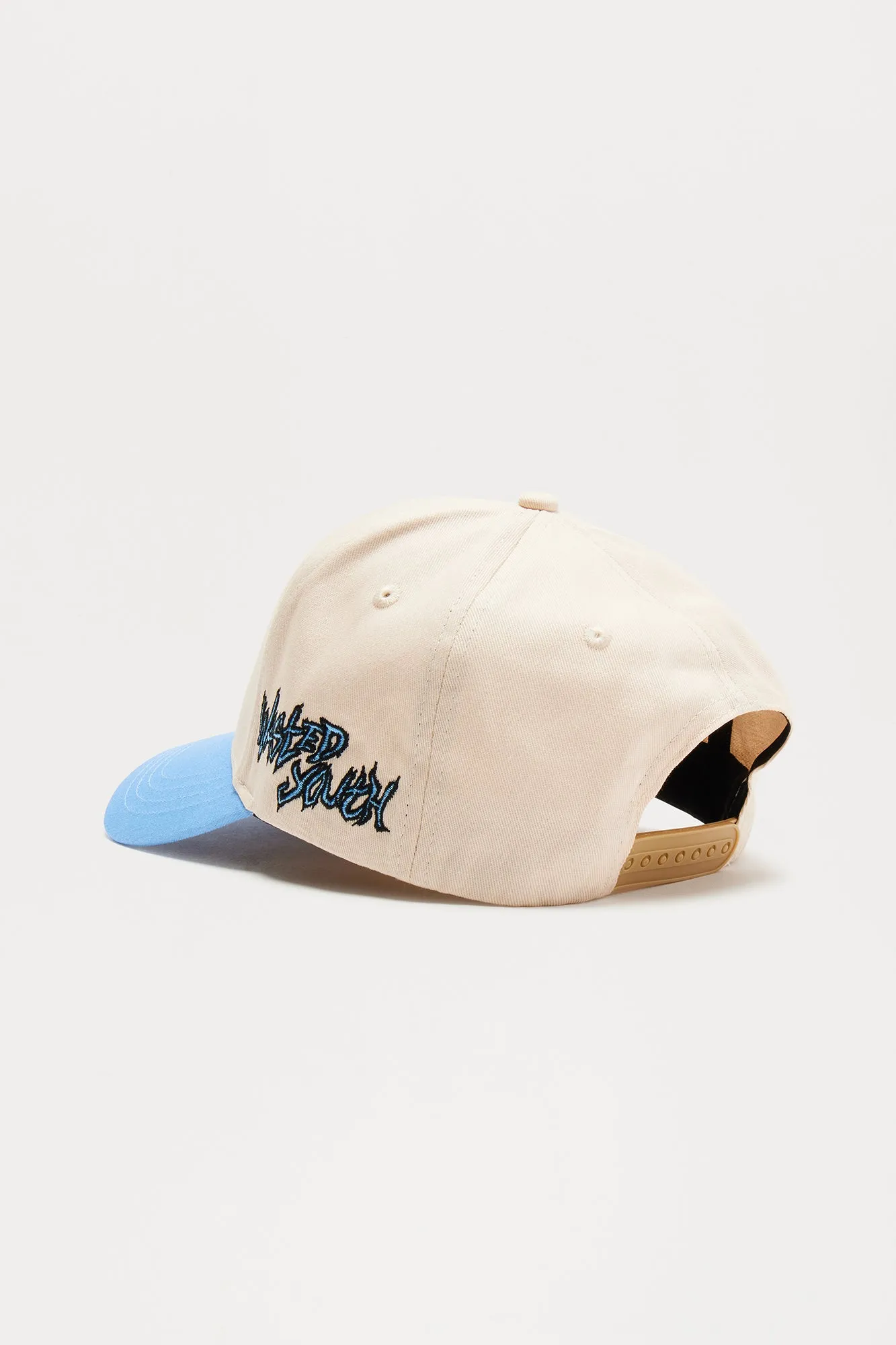 Wasted Youth Snapback Hat - Blue/combo